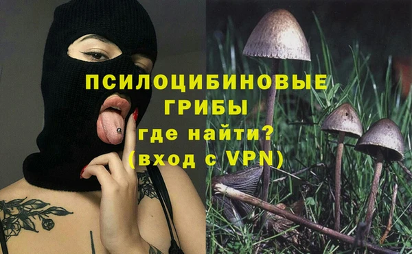 мяу мяу мука Кострома