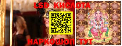дживик Камышлов