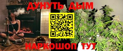 дживик Камышлов