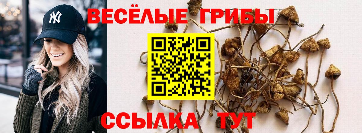 Псилоцибиновые грибы GOLDEN TEACHER  Вход с VPN  Волоколамск  как найти закладки  Галлюциногенные грибы Psilocybe 